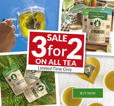 Body and Mind Botanicals CBD Tea Sale